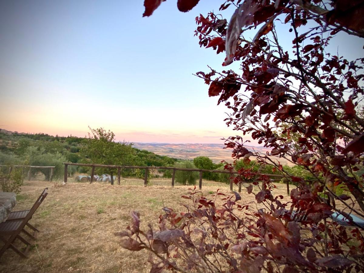 Agriturismo Podere Casella Castiglione d'Orcia Exterior photo